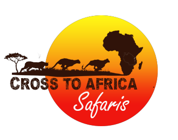 https://safariopedia.com/uploads/operator/logo/6457a5c9d925elogo 1main.png